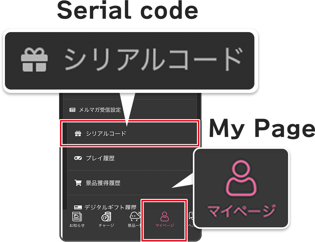 Serial code entry screen